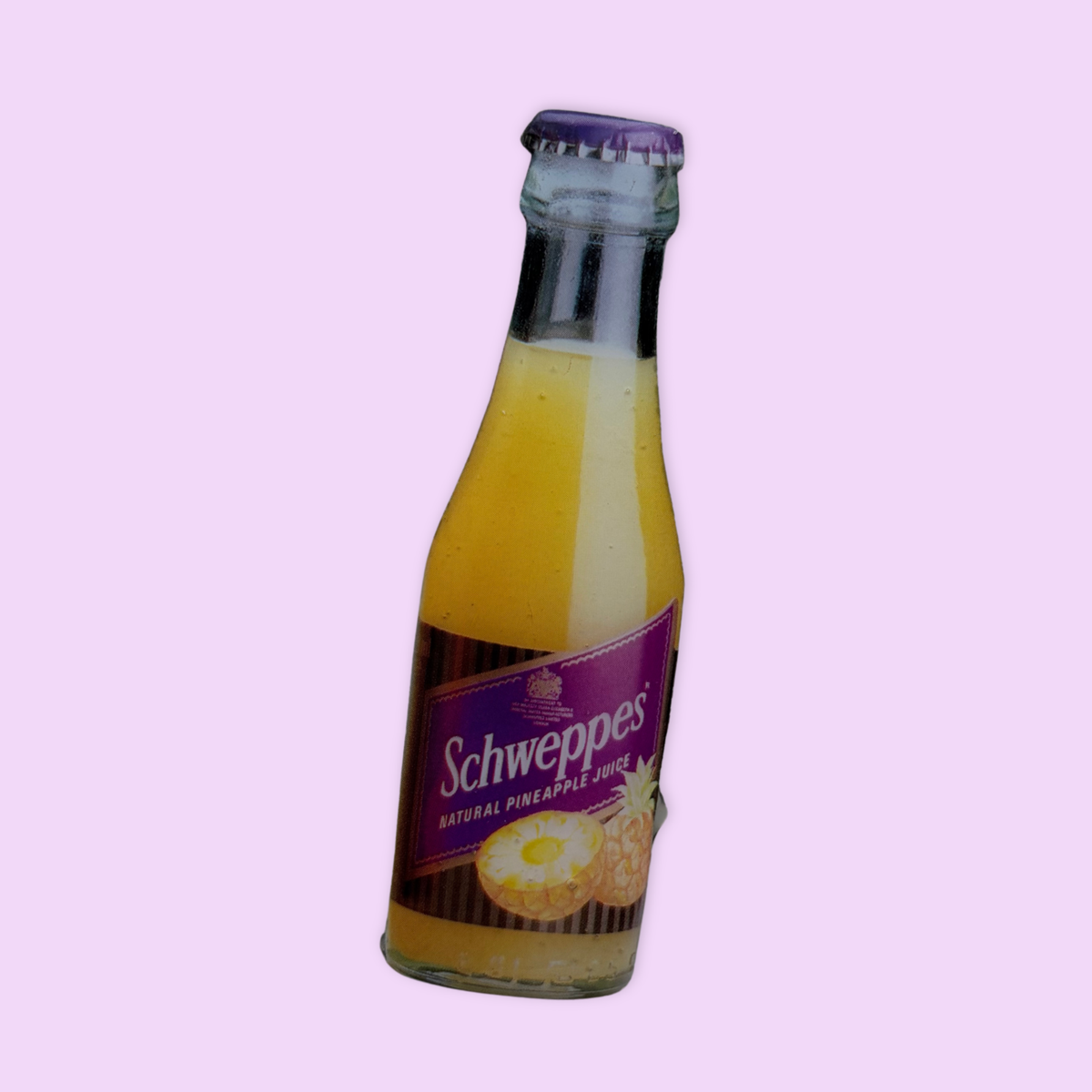Magnet Schwepps Ananas