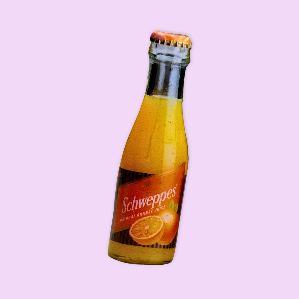 Magnet Schwepps Orange