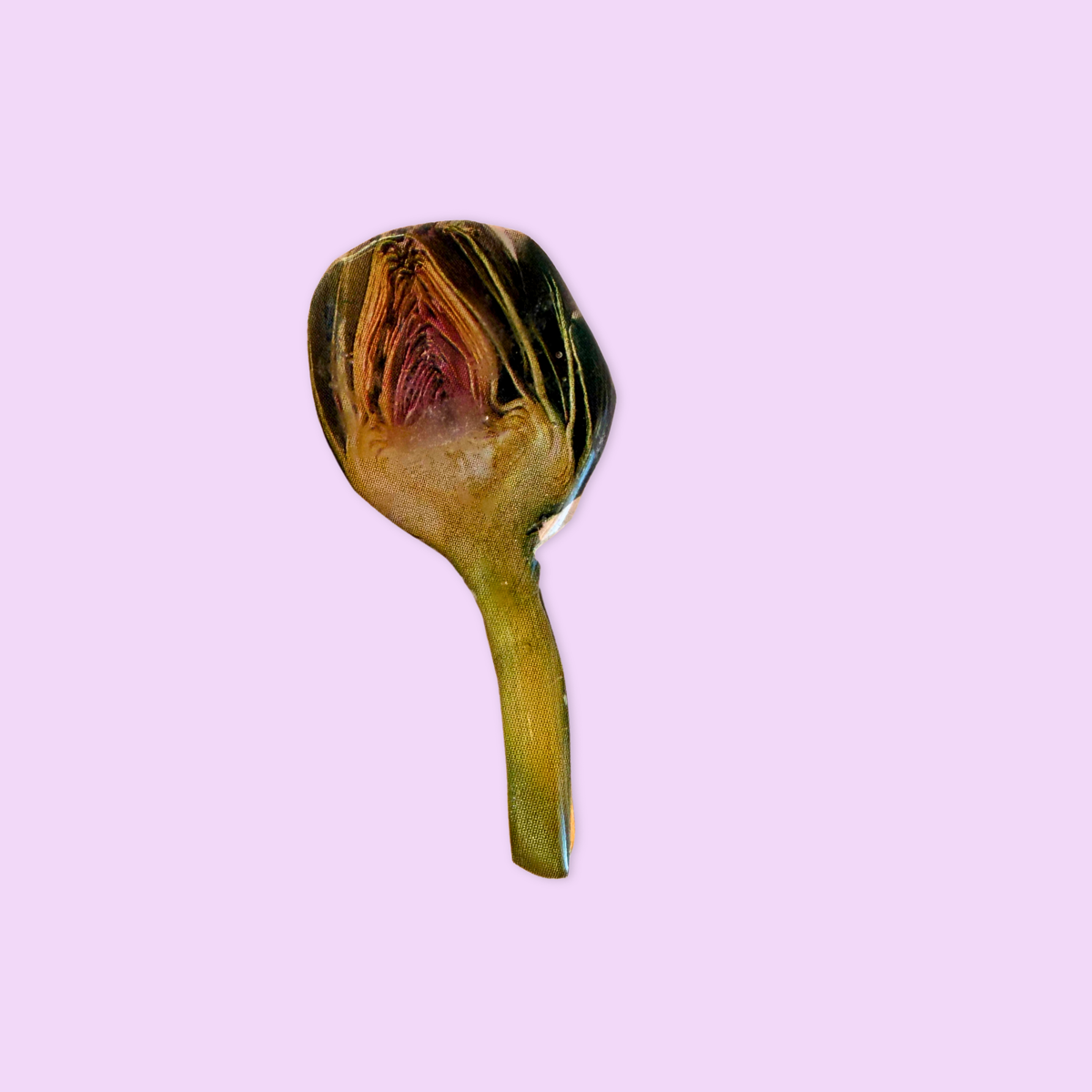 Pins Artichaut