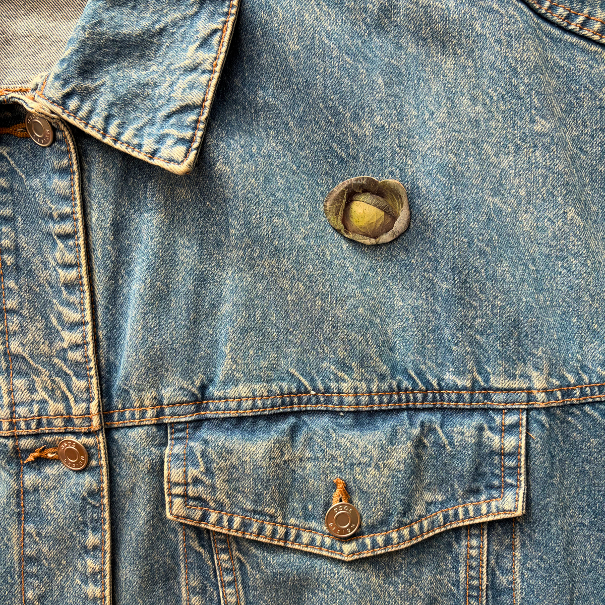 Pins Chou