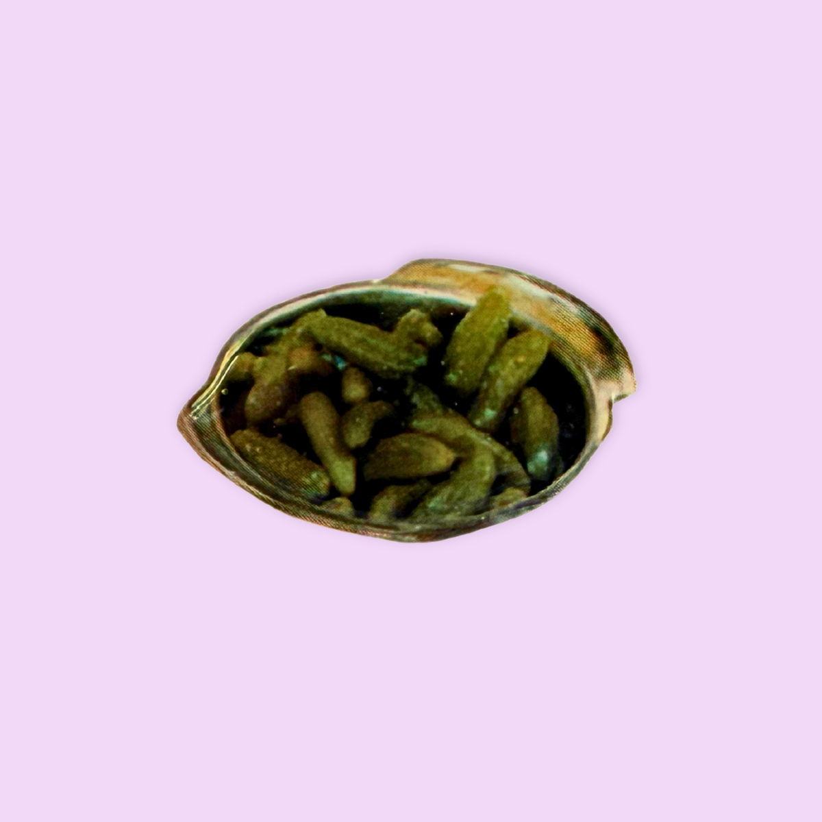 Pins Bol de Cornichons