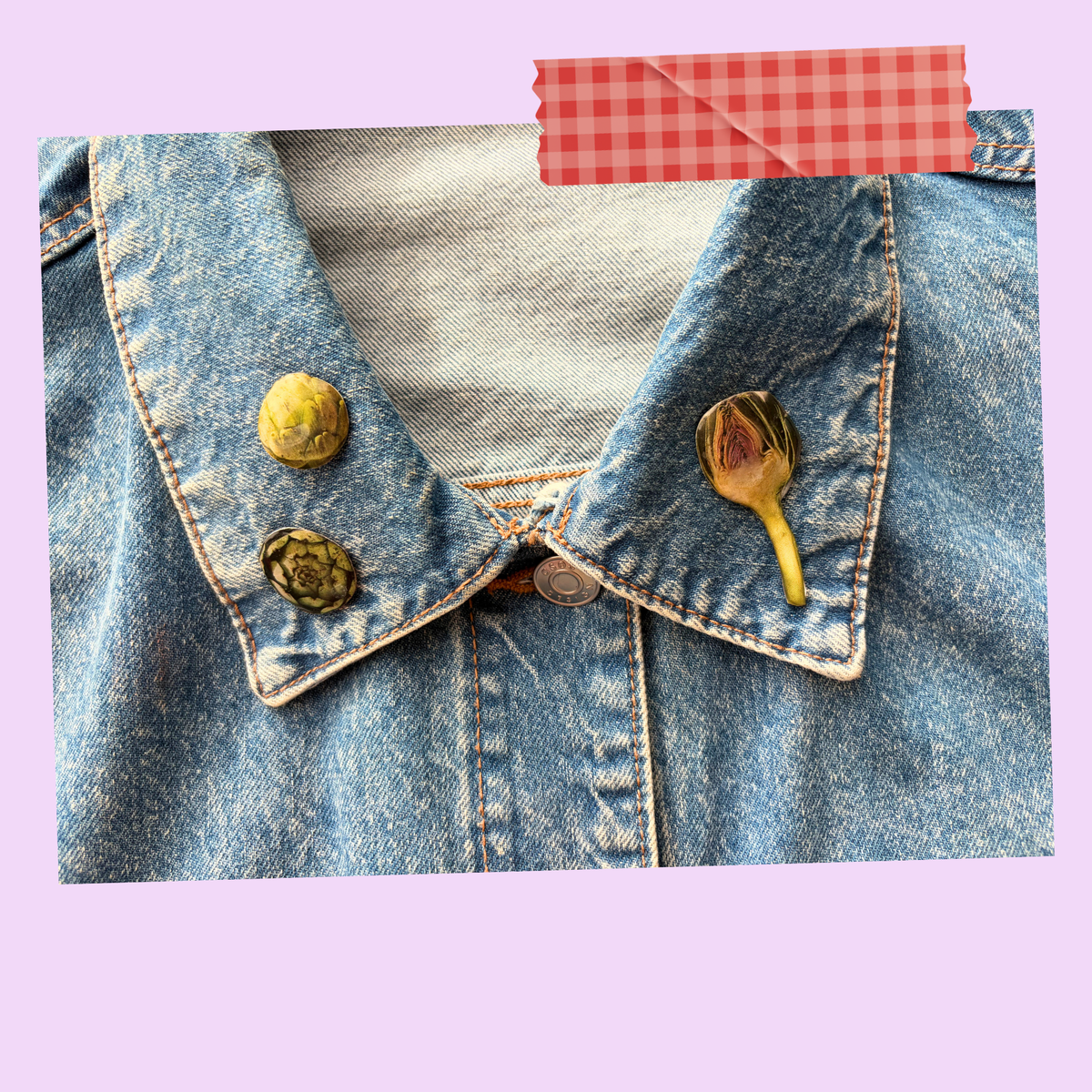 Duo de pins Artichauts